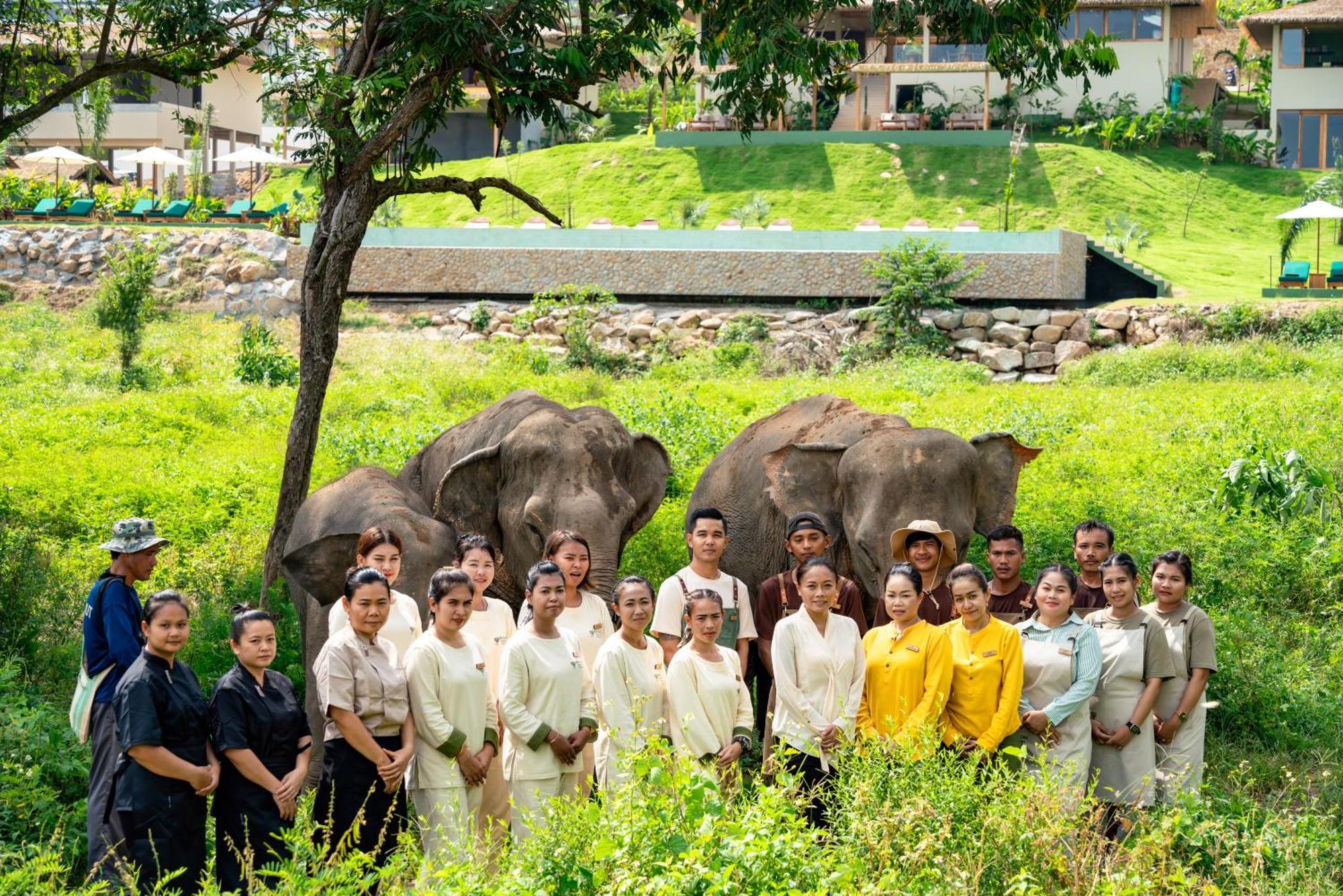 Wild Cottages Elephant Sanctuary Resort Amphoe Koksamui Exterior foto