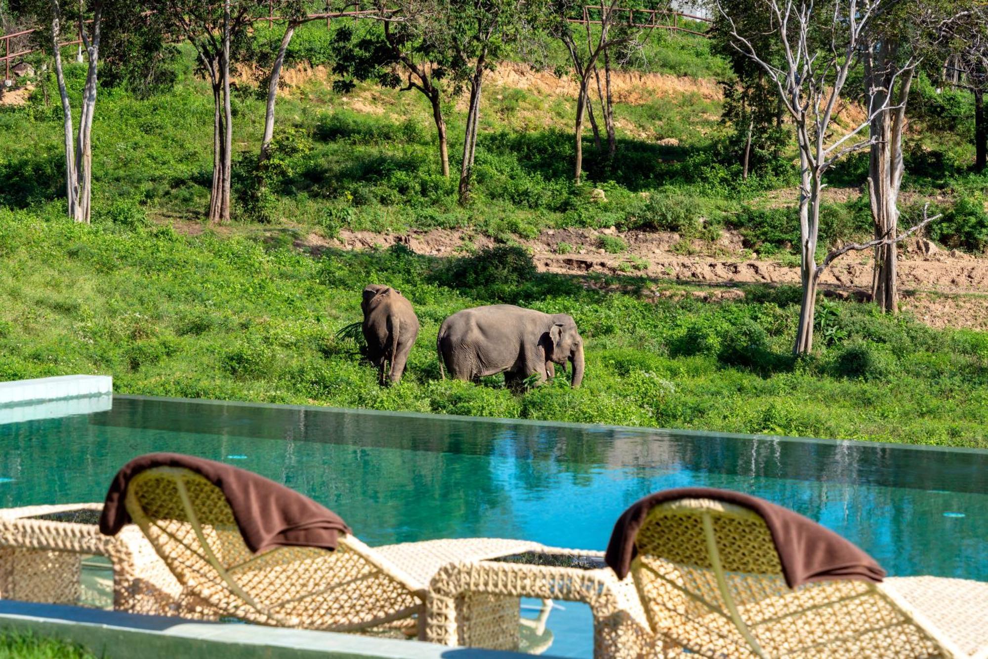 Wild Cottages Elephant Sanctuary Resort Amphoe Koksamui Exterior foto