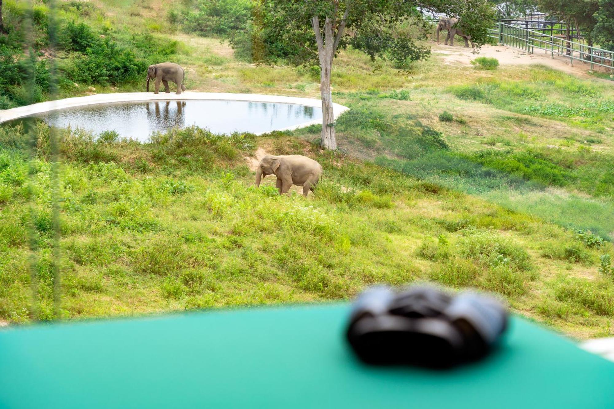 Wild Cottages Elephant Sanctuary Resort Amphoe Koksamui Exterior foto