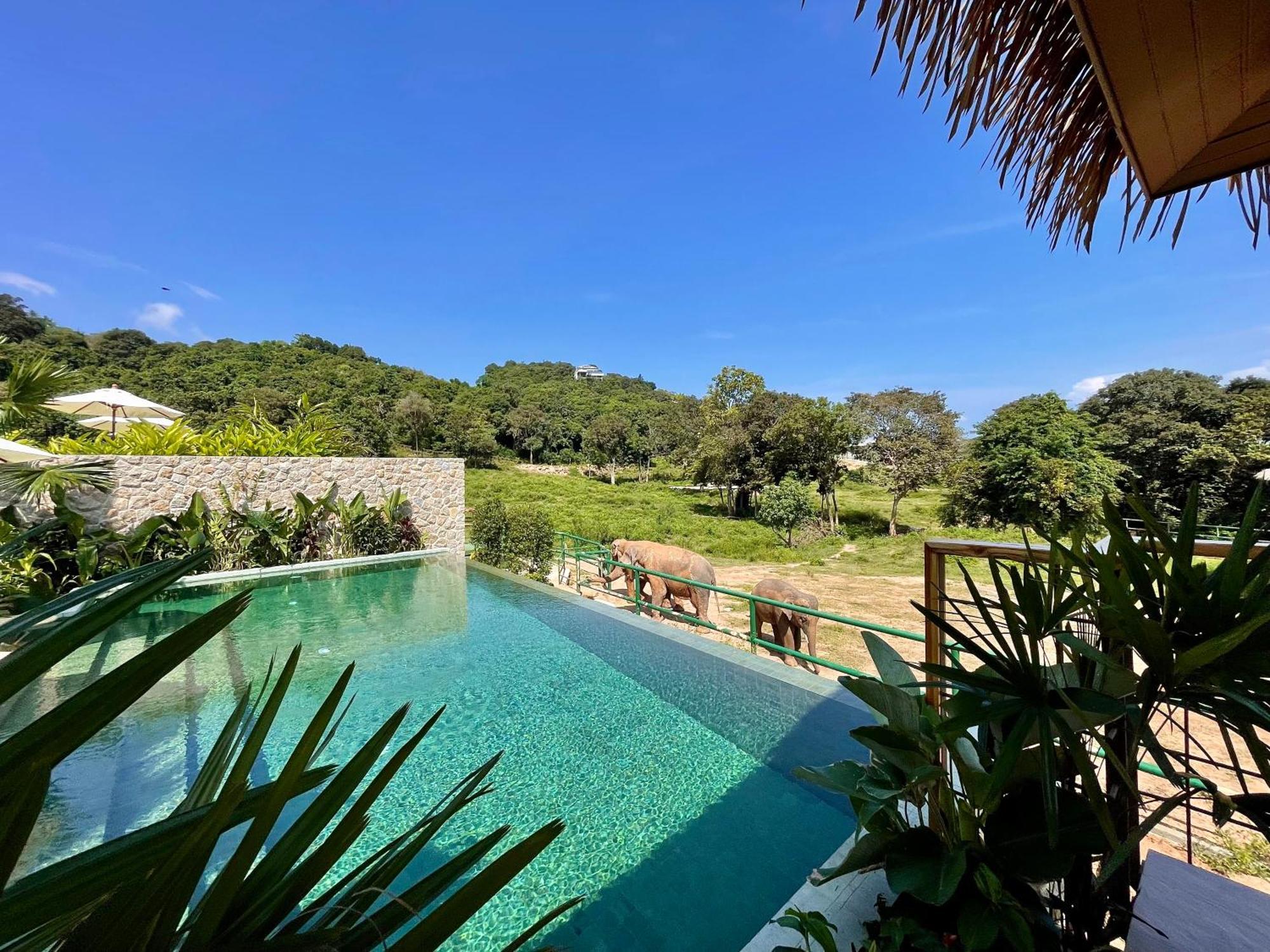 Wild Cottages Elephant Sanctuary Resort Amphoe Koksamui Exterior foto