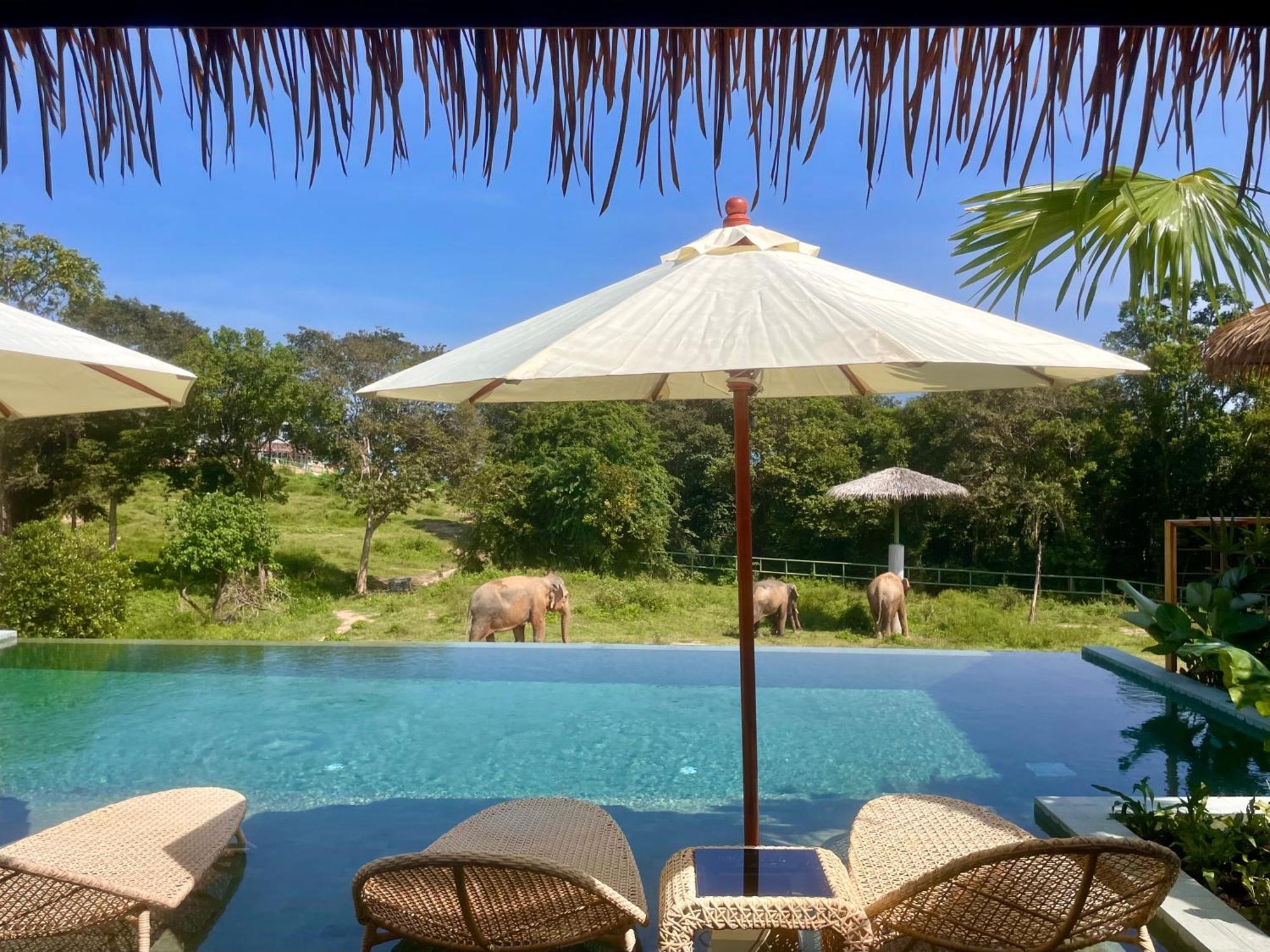 Wild Cottages Elephant Sanctuary Resort Amphoe Koksamui Exterior foto